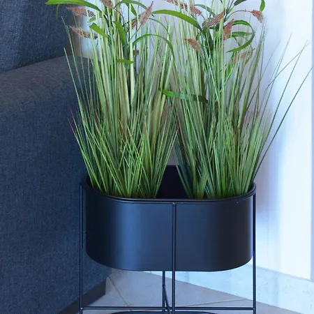 Captain Ilias House Chalki * Chalki Town