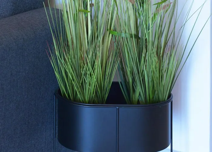 Captain Ilias House Chalki * Chalki Town